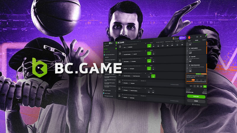 Ultimate Guide to Download BC.CO Everything You Need to Know